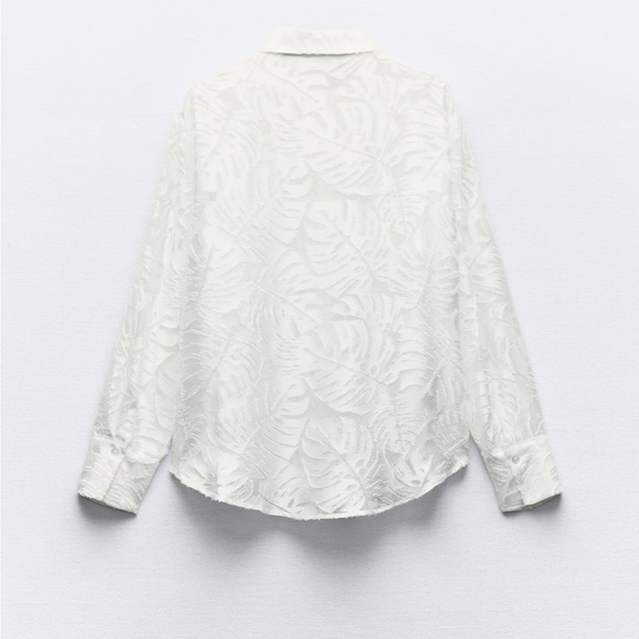 Zara Semi- Sheer top - Picture 4 of 5